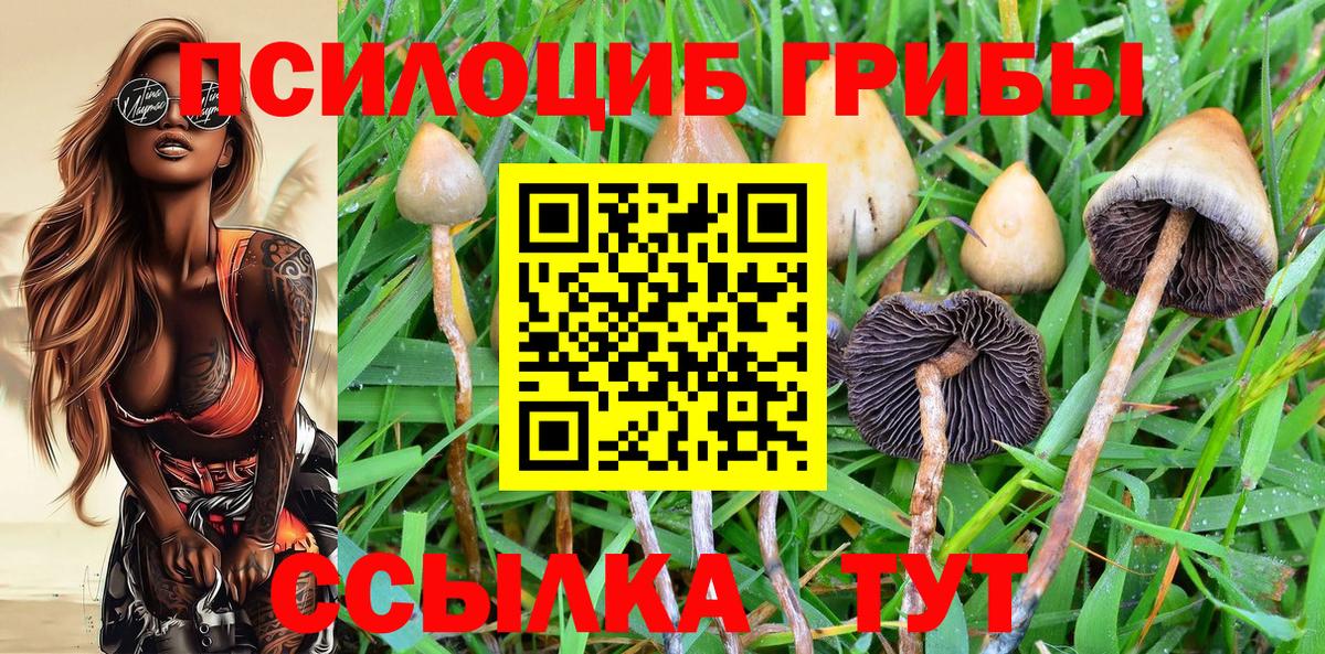 Псилоцибиновые грибы мухоморы  Вход с VPN  Псилоцибиновые грибы MAGIC MUSHROOMS  Мурино 