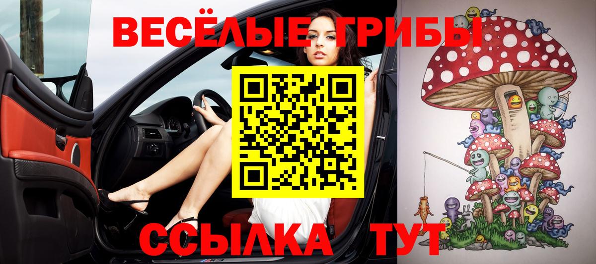 Псилоцибиновые грибы прущие грибы Мурино