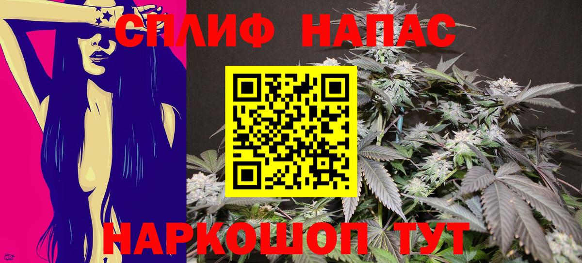 Конопля SATIVA & INDICA Мурино